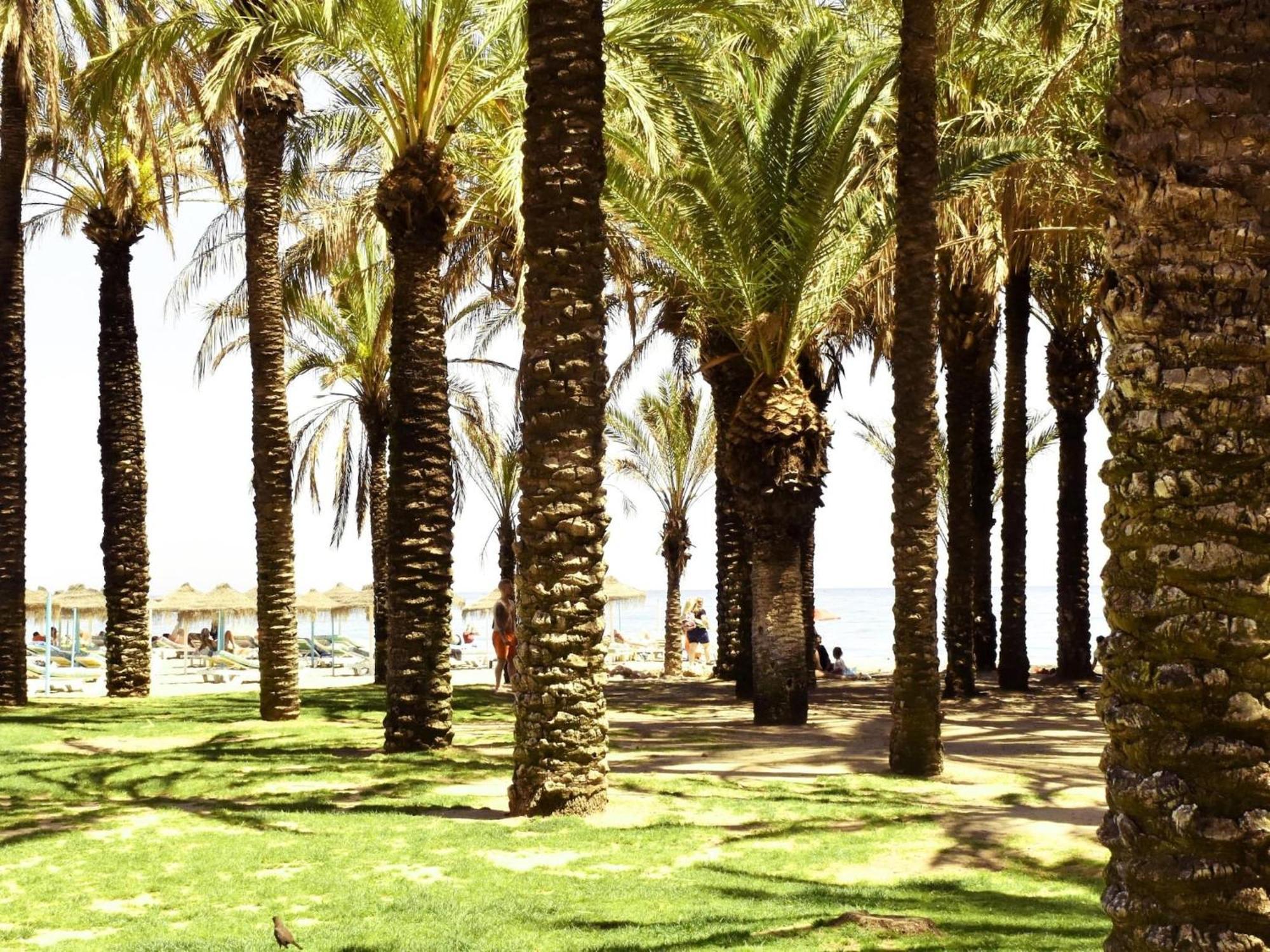 Apartamento Luminoso De 3 A Pie De Playa En